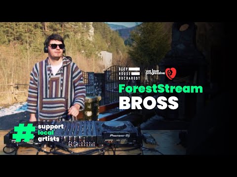 ForestStream with Bross at Rucar146