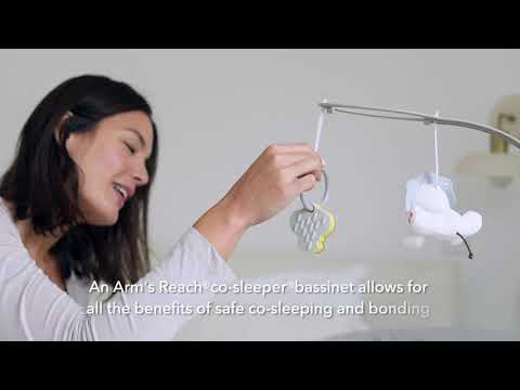 About Arm's Reach Concepts