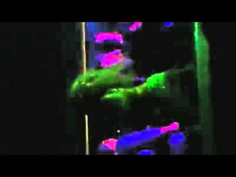 ΔΗΜΗΤΡΗΣ ΣΩΤΗΡΙΟΥ live show percussion(Οla limba)_ giousef dancer