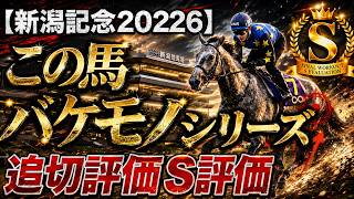 🎯【新潟記念2026】最終追切評価｜ノーザン軍団社内調教か？ロデオドライブ、ドゥレッツァ、チェルヴィニア、ゾロアストロ、ステレンボッシュ、アーバンシック、S評価は1頭だけ。AIの評価は？