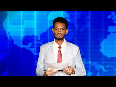 Warka Universal TV 16 02 2026