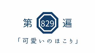 第829遍　「可愛いのほこり」