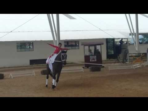 20170620 - CONCURSO NACIONAL DE VAULTING ESCUELA DE EQUITACIÓN DEL EJÉRCITO - Obligatorios en Romeo