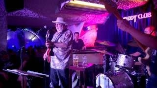 Duke Robillard plays Backstroke (Albert Collins) live Germany 2014 Session