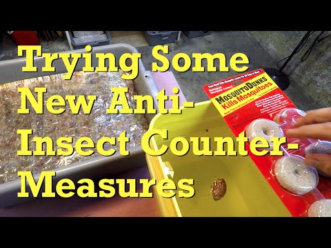 Twine & cotton bedding red wiggler worms fed after 11 days - vermicompost