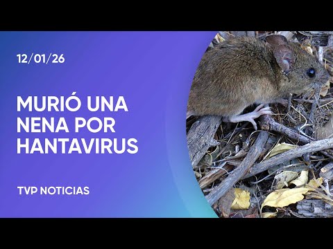 General Belgrano: una nena de 10 años murió por Hantavirus