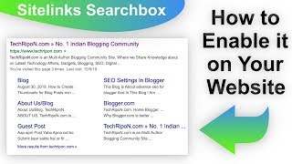 “Sitelinks Searchbox” How to Enable This Schema on your Blog/Site