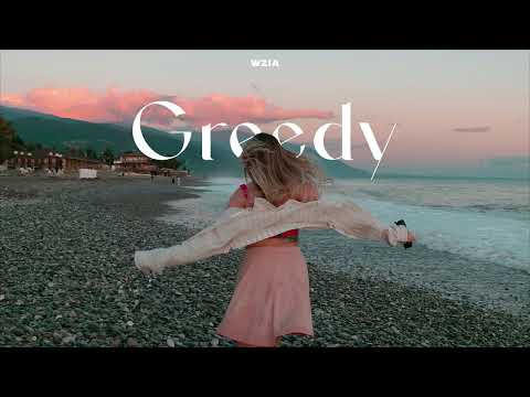 WziA - Greedy (Original Mix)