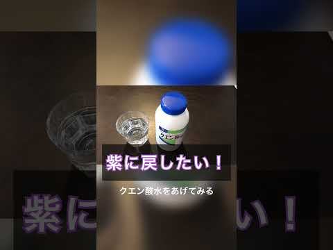 アジサイの木の根元にどの植物を置くか、バラの茂み、シャクナゲの庭が春を元気づけます