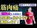 【筋トレ】まさか「筋肉痛と筋肥大は比例する!」なんて思ってる奴はいないよなぁ〜〜??????