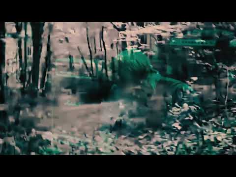 Videoclip de Down In The Park — Foo Fighters