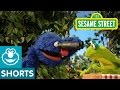 Sesame Street Grover Bird Watches