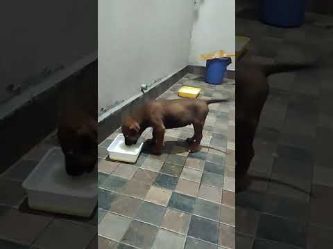 Nikki playing with me