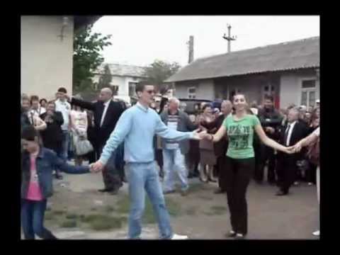 Bashchioi 2008 - Apa licuvita