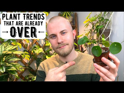image-What is trending in plants now?