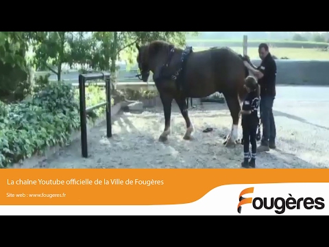 Midi en France | Jeudi 6 octobre 2016