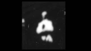 [Monkeyshines, no.  1] (1890) Edison