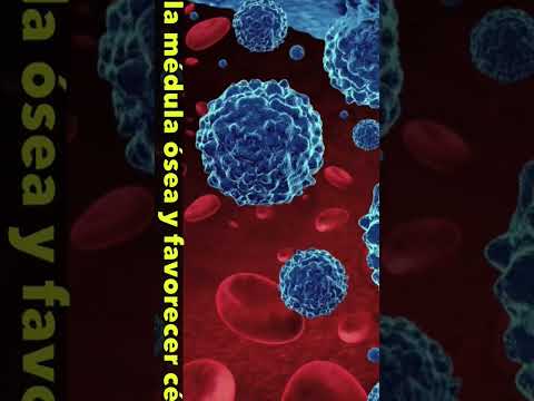 🚨 Descubren que el flujo sanguíneo bloqueado acelera cáncer #salud #shorts