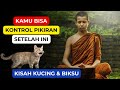 KUCING VS BIKSU: KISAH INSPIRATIF TENTANG KONTROL PIKIRAN || VIDEO MOTIVASI
