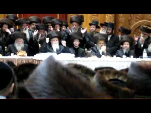 Skver Wedding (Chasuna) Feb 14, 2013 (4th Uder 5773)