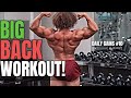 Training Back, Bodybuilding & Calisthenics Style | Daily Gains #10
