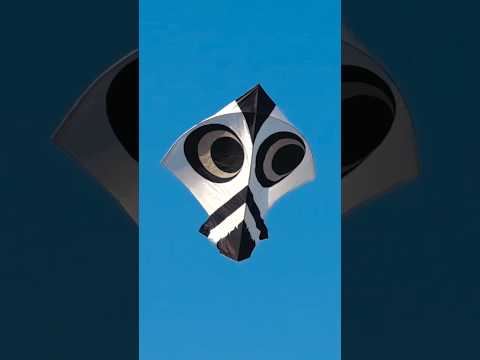 Kite Flying Fun Gone Wrong ❌ Yogesh 01