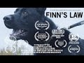 Finn's Law | Award Winning Short Documentary