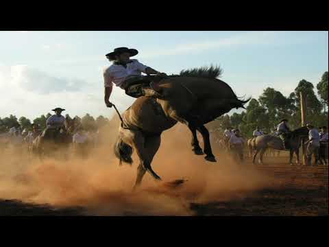 Com a Tropilha Por Diante