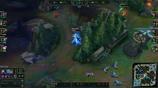why i need to toggle target champions only when diving