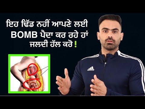 Dangers Type Of Organ Visceral Fat | Harry Mander