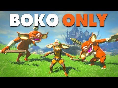 Can You Beat Tears of the Kingdom as a Bokoblin?