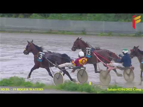 IV Corsa del 2 Aprile 2022 - 5 Anni ed oltre - Cat. G - Gentlemen - Metri 2000