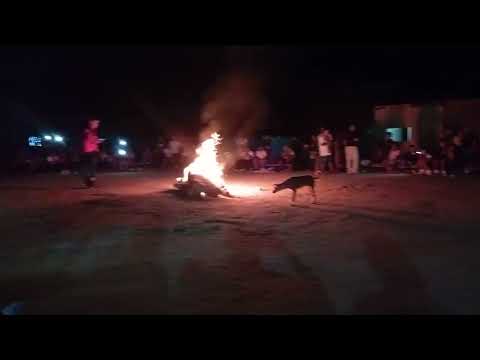 Danny García Vallenatazo de Amor en la comunidad Cucurito Ceiba Cumaribo Vichada Colombia 🎤🪗🎶🇨🇴