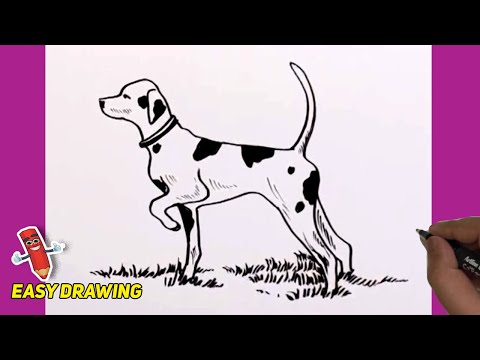 How To Draw English Pointer Dog Easy | English Pointer Dog Step By Step Drawings | Easy drawing idea