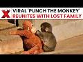 Abandoned Monkey Punch At Japan S Zoo Goes Viral Here S Why NewsX