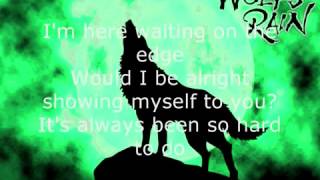 Steve Conte   Stray Lyrics