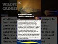 How Wildfire Smoke Can Damage Health Hundreds of Miles Away