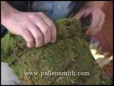 Comment faire une corne d'abondance