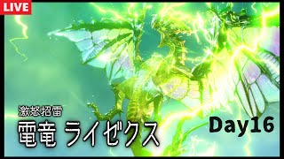 初見モンハンを堪能する男 16日目 ライゼクス編　 【モンスターハンターサンブレイク初見プレイ】