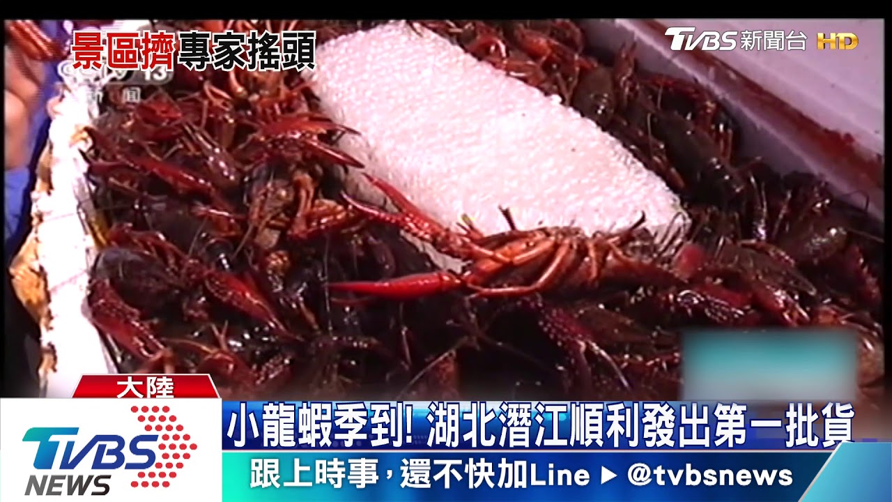 小龍蝦季到! 湖北潛江順利發出第一批貨
