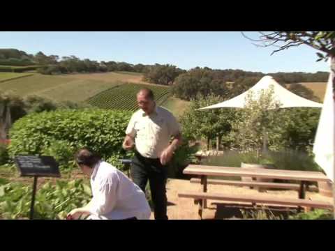 Montalto Vineyard and Olive Grove