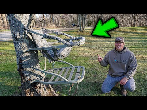 image-How high is too high for tree stand?