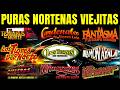 PURAS NORTEÑAS VIEJITAS - LA MÁQUINA MUSICAL NORTEÑA |  Tigres, Tucanes, Ramón Ayala ...y Más DEFAULT Thumbnail
