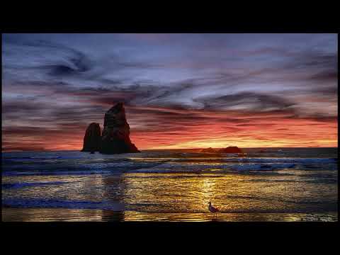 Flowers 🌹 deferent wallpaper status image wallpaper