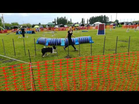 2017.05 Monor Agility - Coney 2. futam