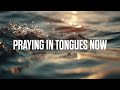 Pray In The Spirit For 30 Minutes Tongues Soaking Instrumental