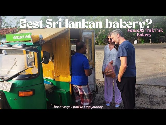 Travel vlog - A Magical Day in Trincomalee: From Tuk-Tuks to Hidden Treasures🛺🇱🇰🦌 | vlog 9 | The journey