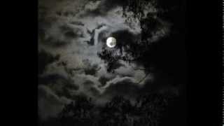 Woundheir - Shape of Despair