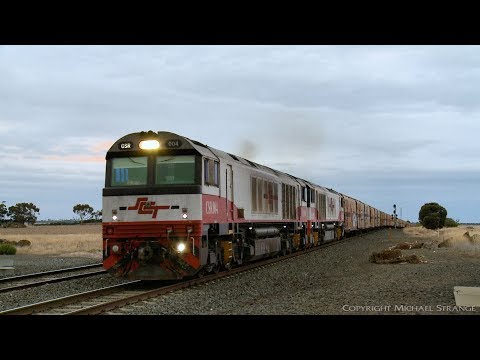 5MP9 SCT Freight Train With CSR Class Locomotives - PoathTV Australian Trains & Railways