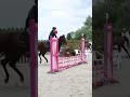 ISTANBLUE - 4 ans   GENTIL, PRATIQUE, BONNE TÊTE